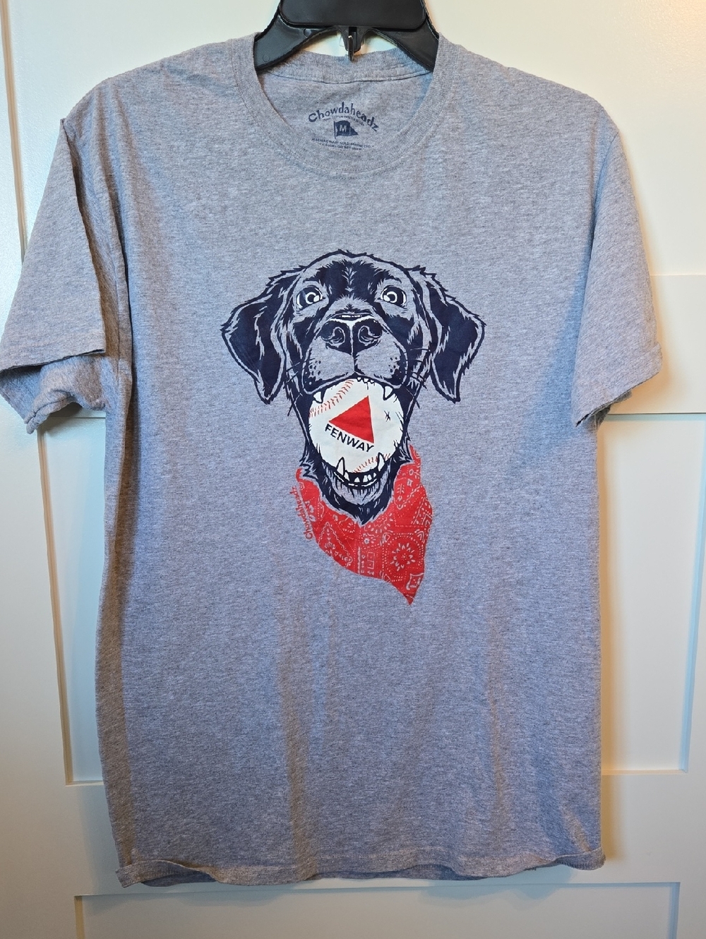 Gray Boston Fenway Blue Dog Tee with Red Bandana - Pet Graphic Shirt Medium